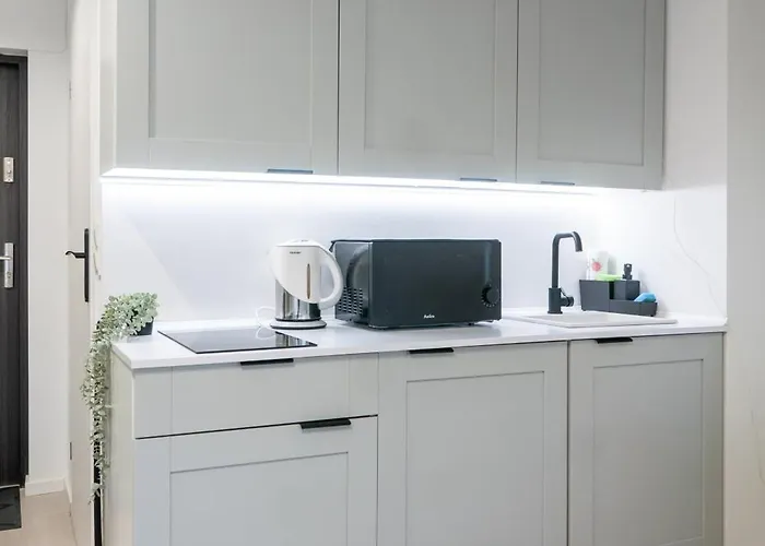 Komfortowe Mieszkanie Blisko Parku Appartement *