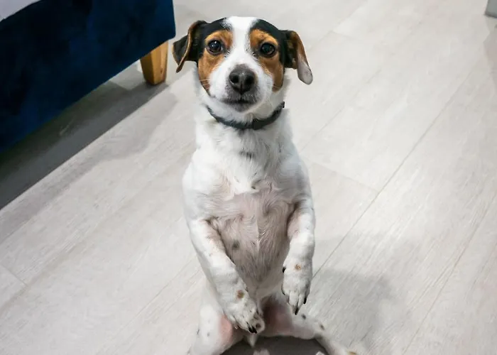 Appartement Komfortowe Mieszkanie Blisko Parku *