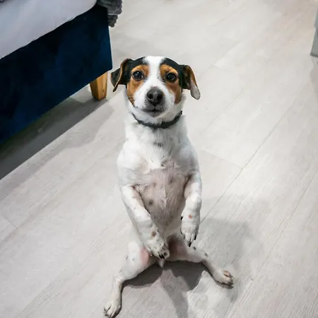 Lägenhet Komfortowe Mieszkanie Blisko Parku *